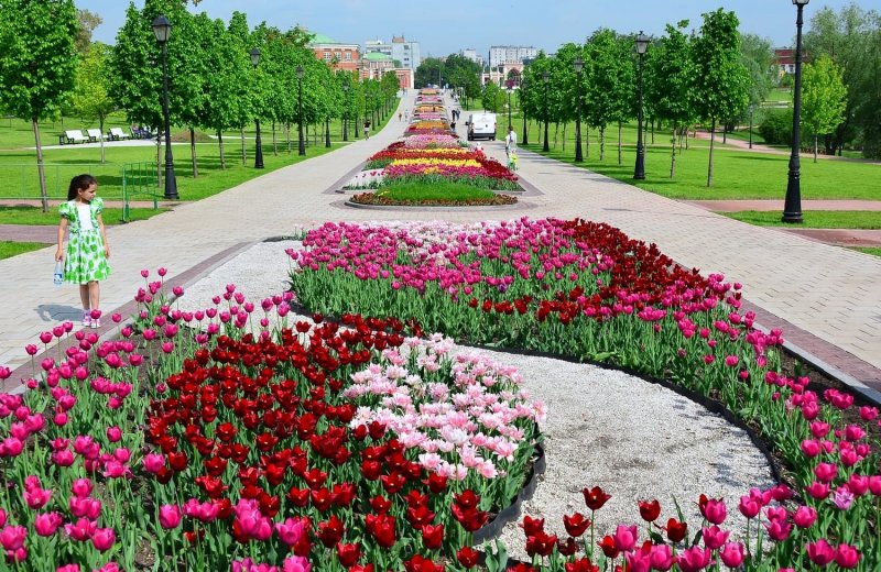 Парк Царицыно растения