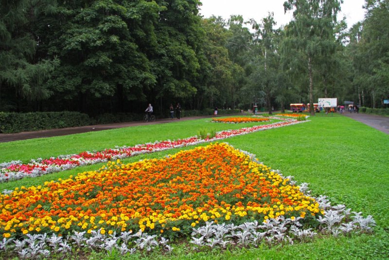 Парк Кузьминки Москва аллея цветов