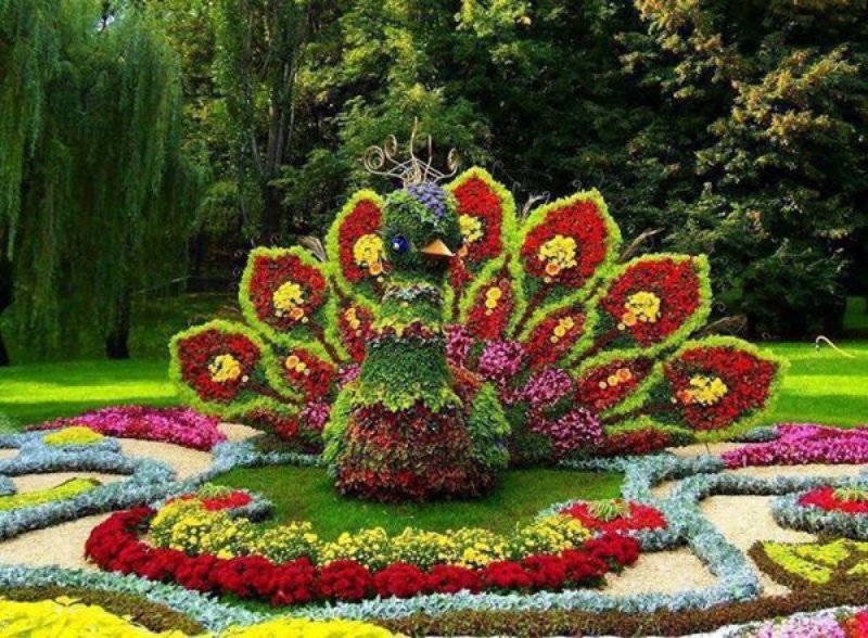 Цветочные клумбы
