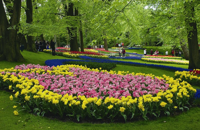 Голландия клумбы
