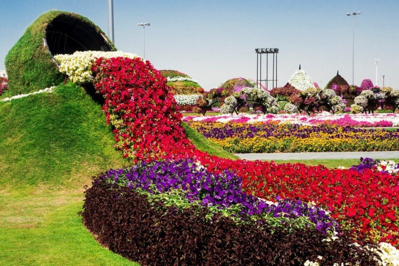 Сад чудес (Miracle Garden)