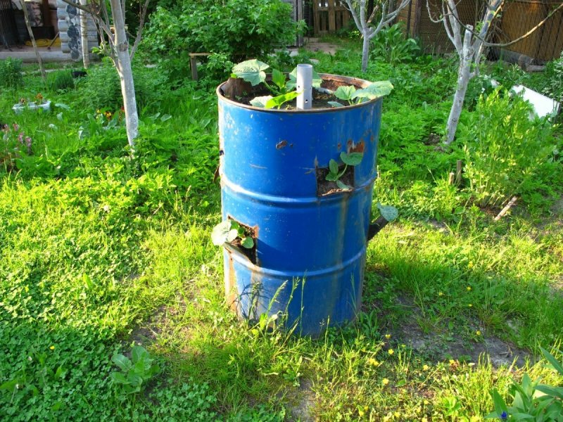 Огород в бочках
