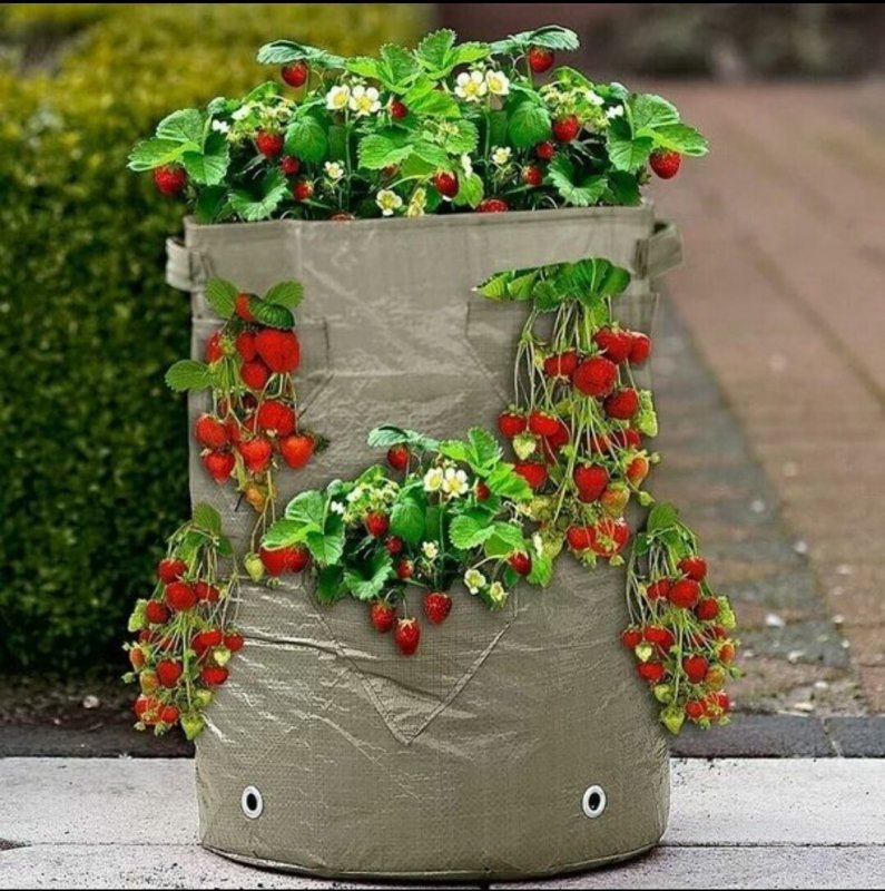 Клумба из старой бочки