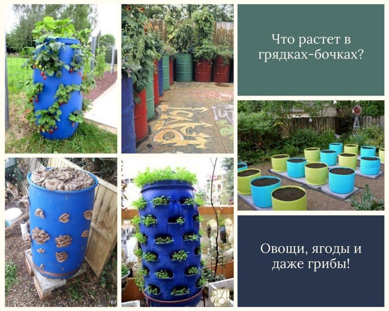 Бочка для огурцов