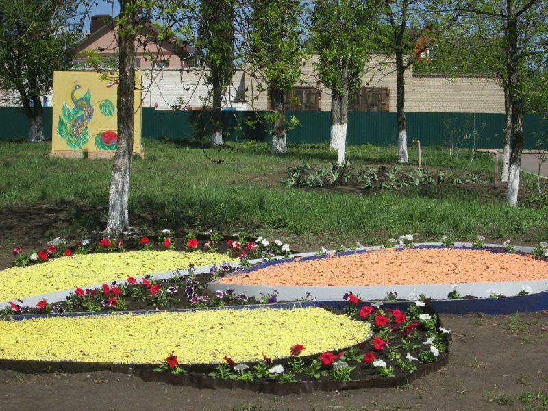 Клумбы на территории школы