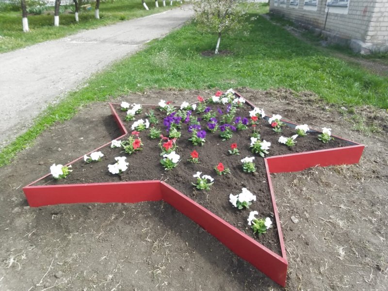 Украшение двора школы