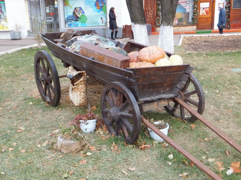 Литовская телега