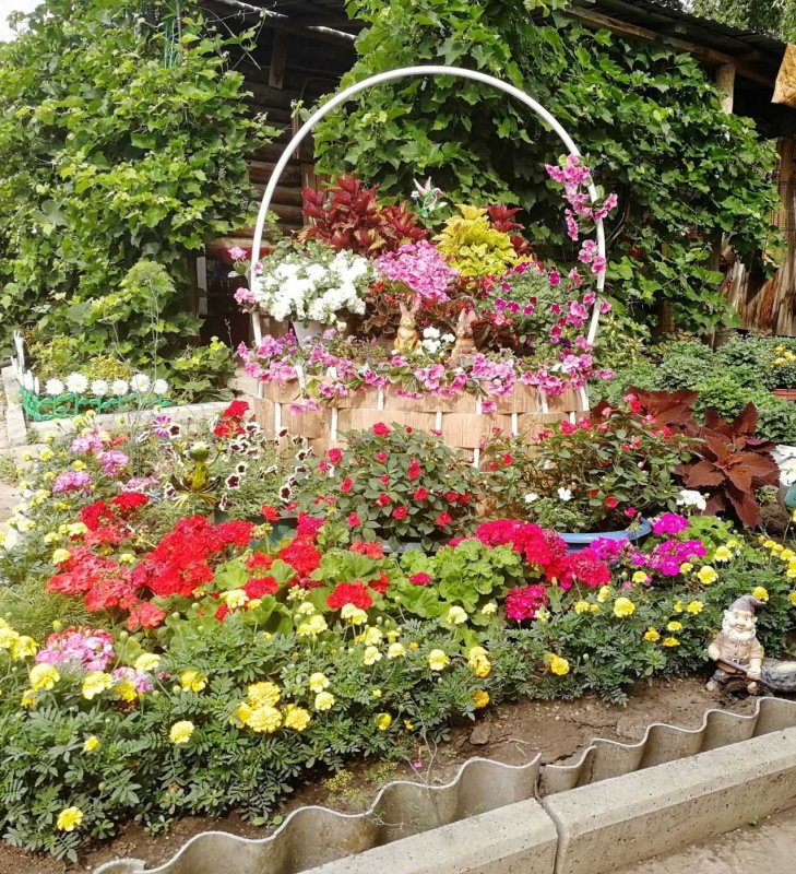 Клумба в бревне