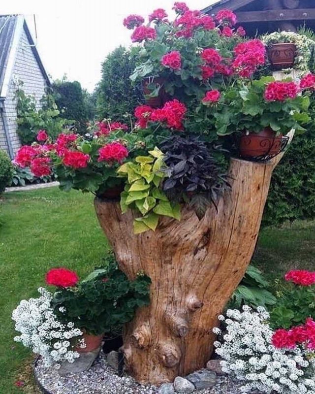 Цветочные клумбы