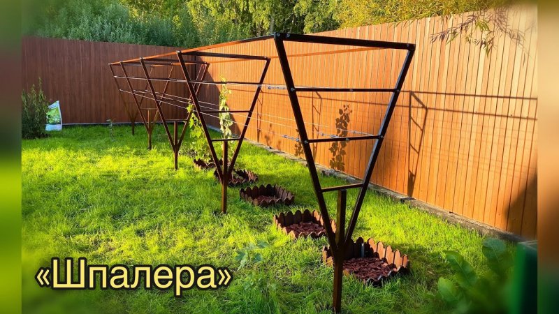 Опора для малины из металла