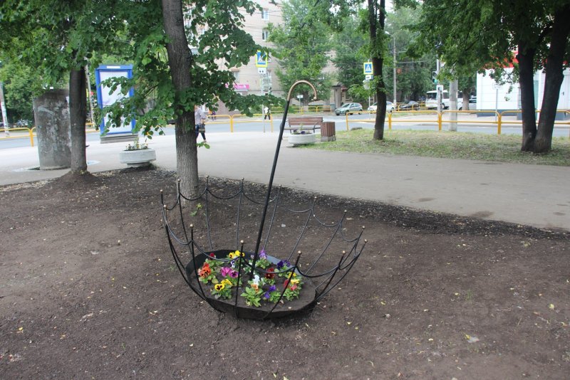 Клумба зонтик (74 фото)