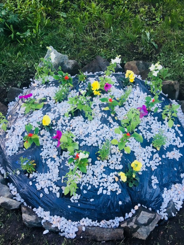 Клумба из кучи земли