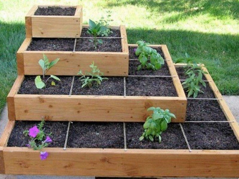 Двухуровневые грядки для клубники