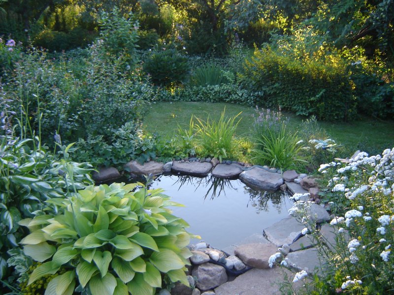 Koi Pond Builders