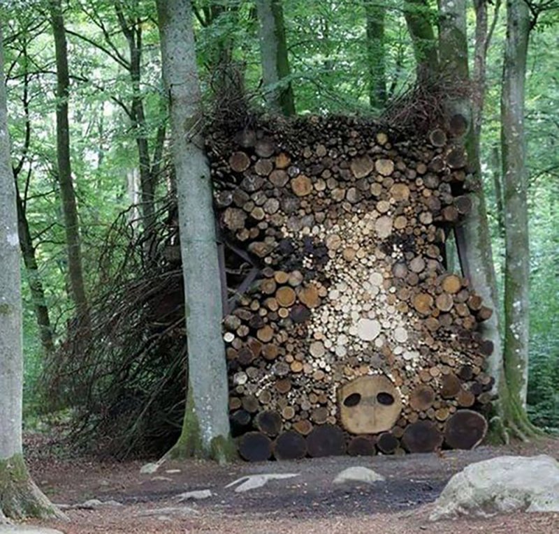 Фотозона из спилов