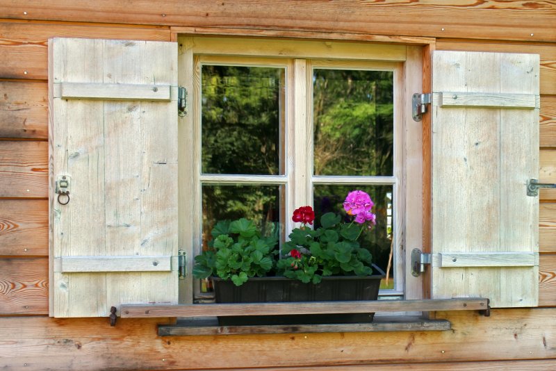 Оконная рама в цветах