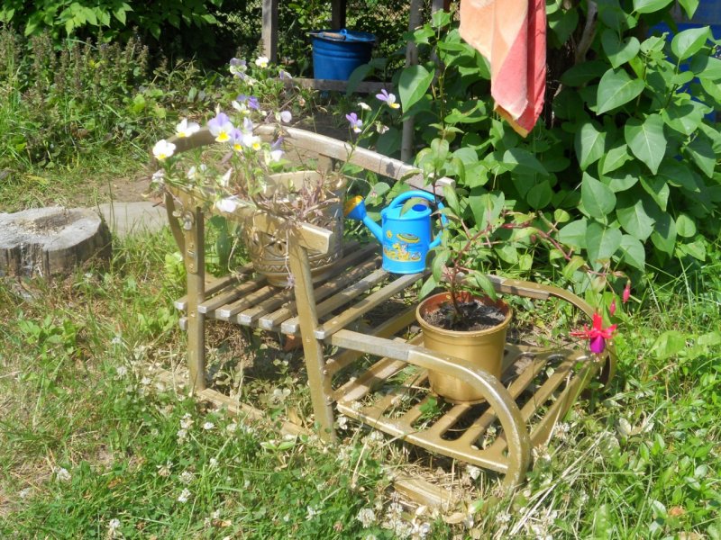 Клумба из старых санок