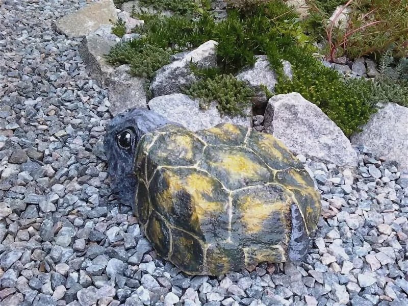 Сад камней черепаха