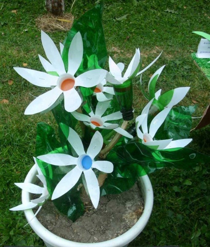 Поделки из пластиковых бутылок для детского сада