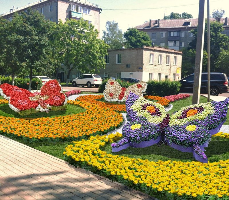 Клумба бабочка (40 фото)