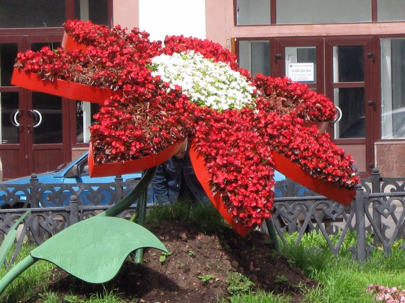 Необычные городские клумбы