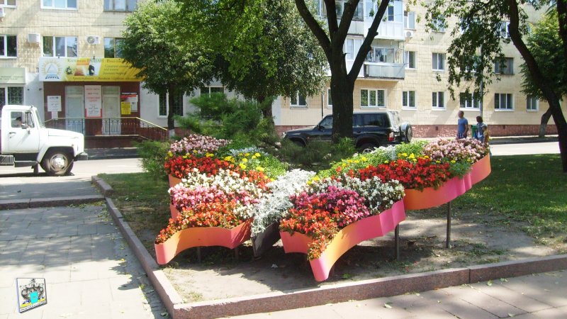 Цветник бабочка в Раменском