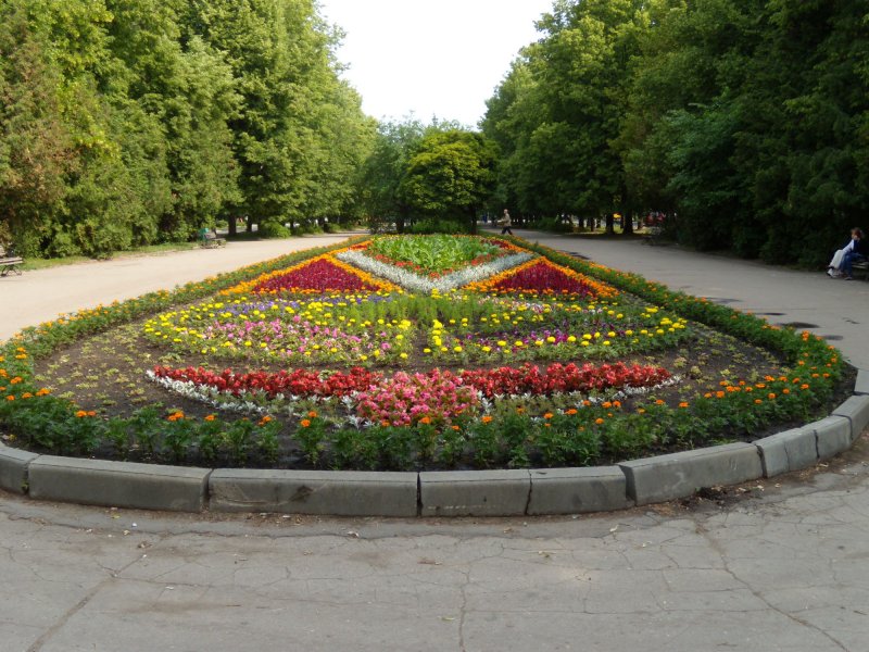 Клумбы Новомосковска Тульской области