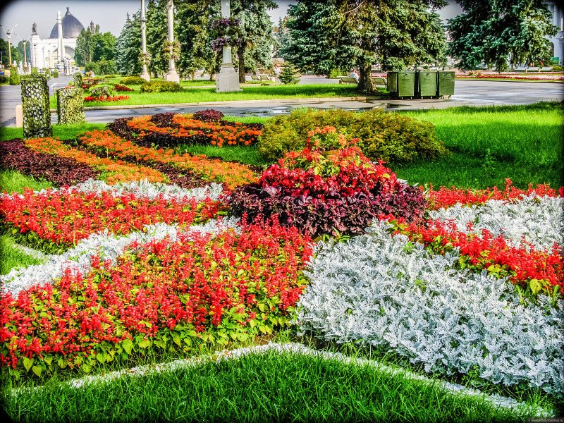 Красивые цветники Москва