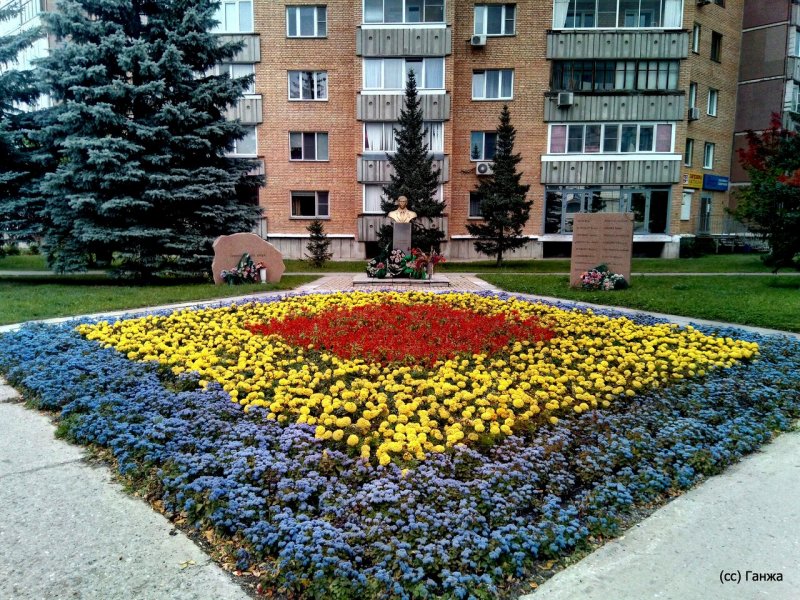 Самарский парк Победы клумбы