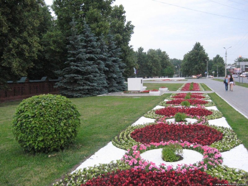 Самарский парк Победы клумбы