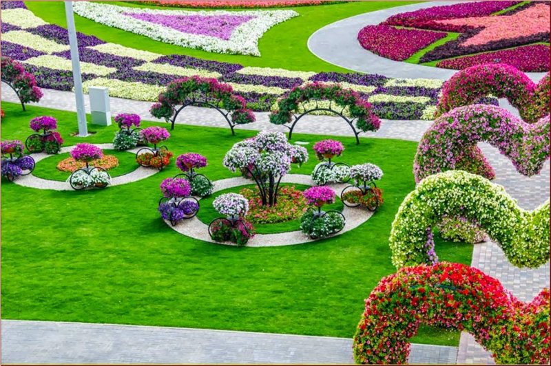 Клумбы цветов план (70 фото)