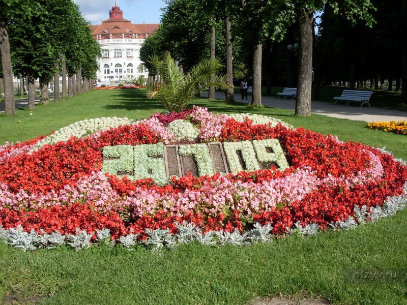Городские клумбы