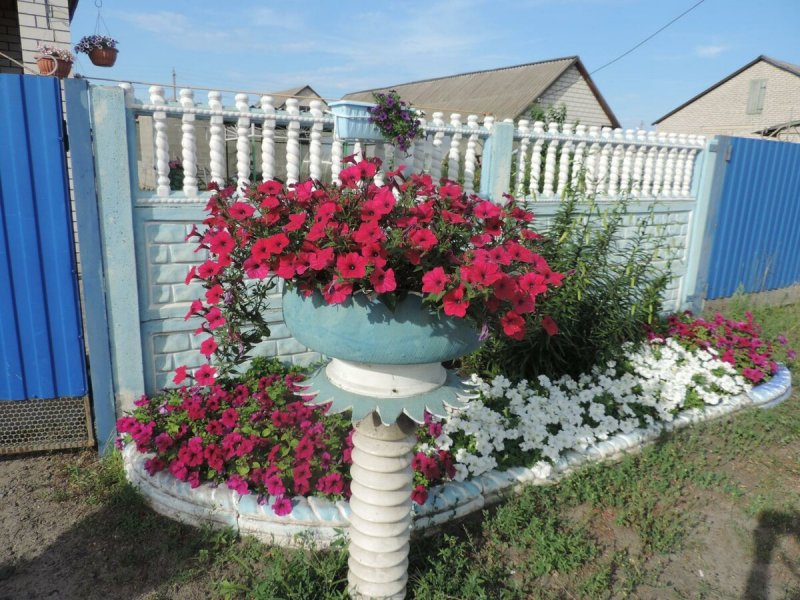 Красивые цветники с розами фото из покрышек