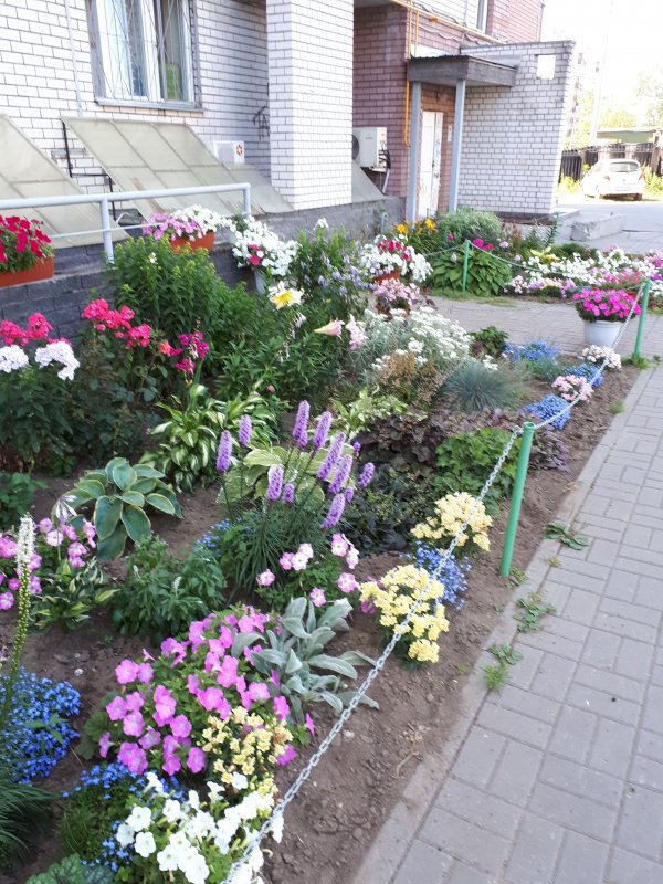 Сибирский палисадник