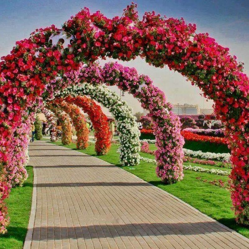Цветочная арка