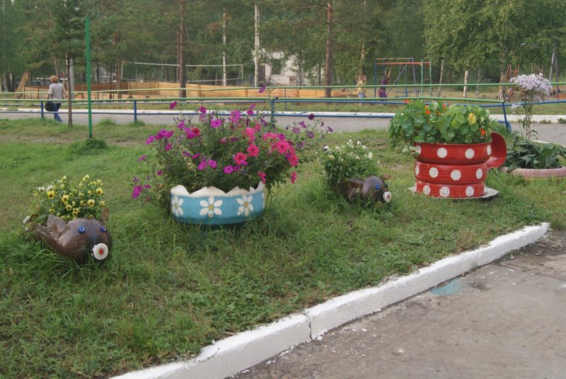 Клумбы в городе состав цветов