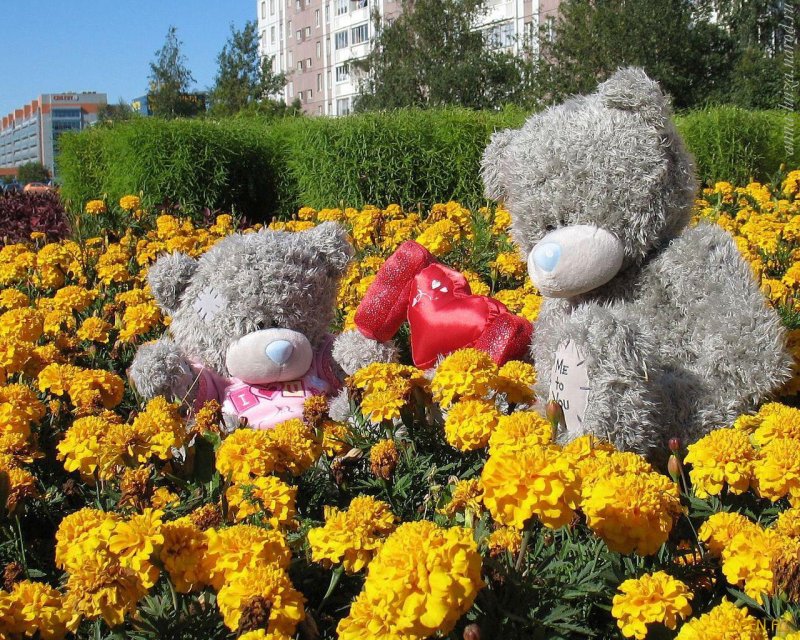 Медвежонок на клумбе из цветов