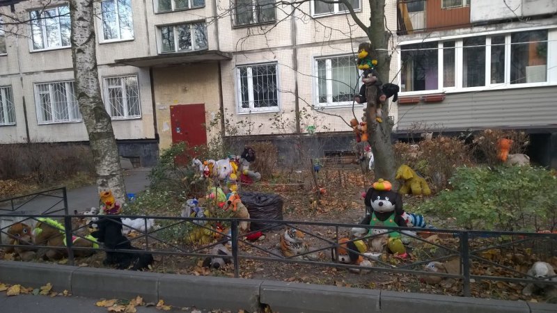 Клумба в виде собаки
