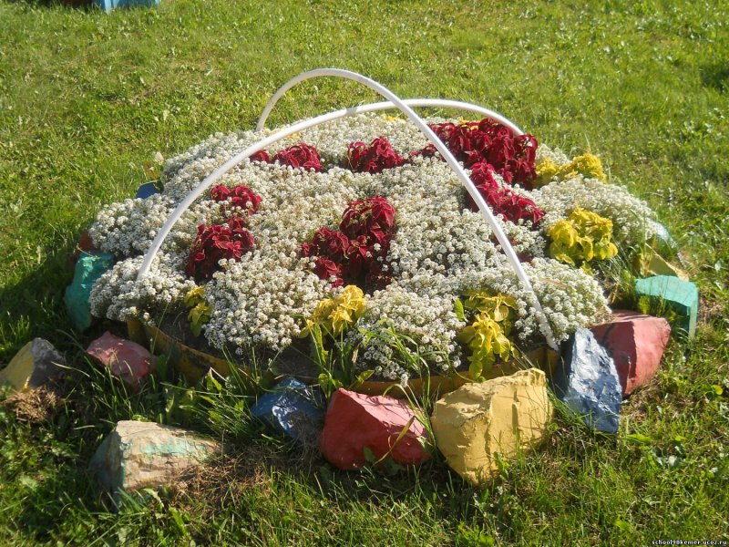 Клумба Павлин