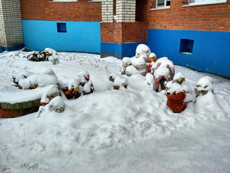 Бачо фабрика декора