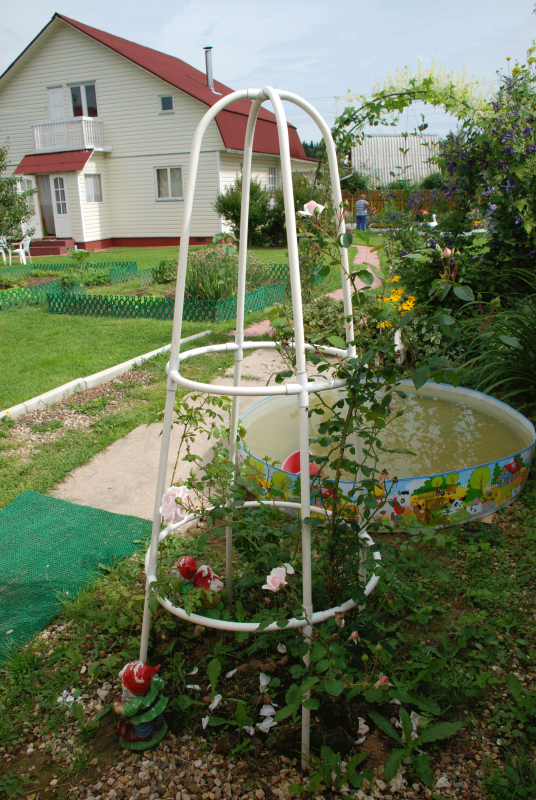 Опора для розы плетистой Березка