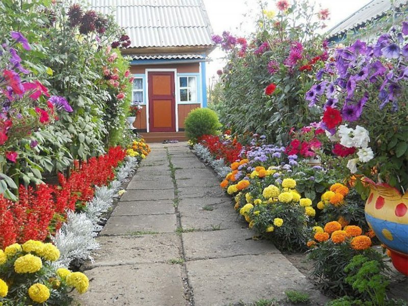 Красивые клумбы в палисадник