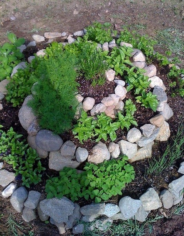Альпийские горки клумбы