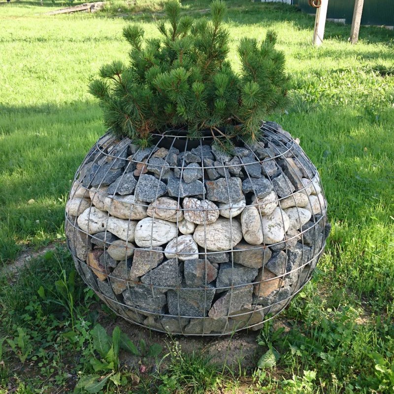 Габионы клумбы
