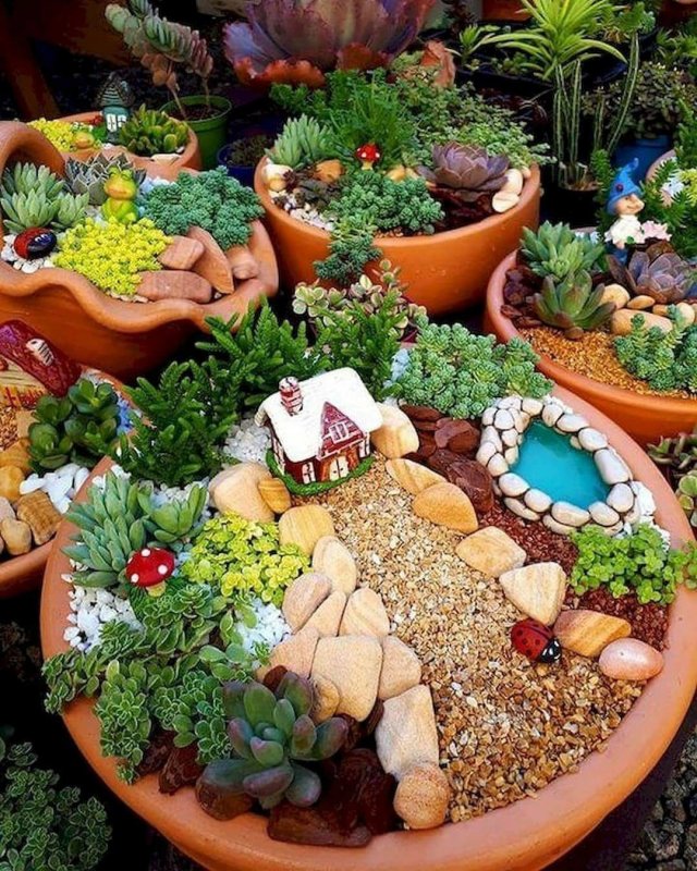 Мини сад