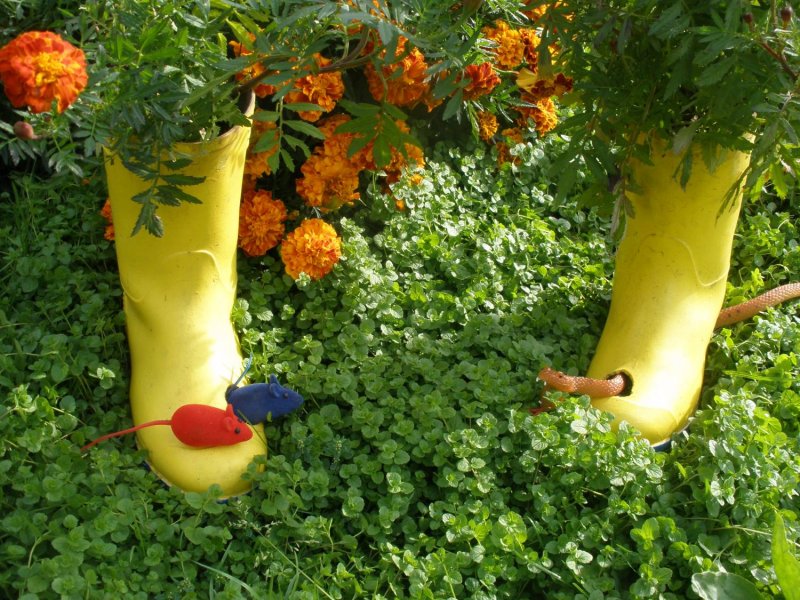 Цветник из резиновых сапог