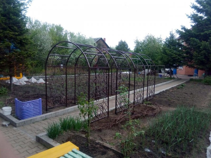 Арка для винограда из металла