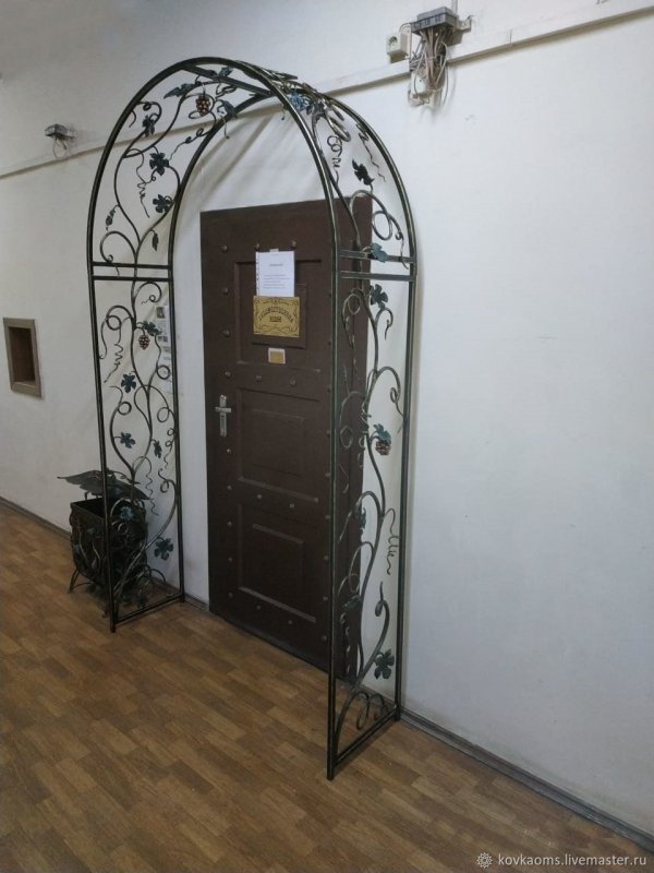 Арка для винограда (77 фото)