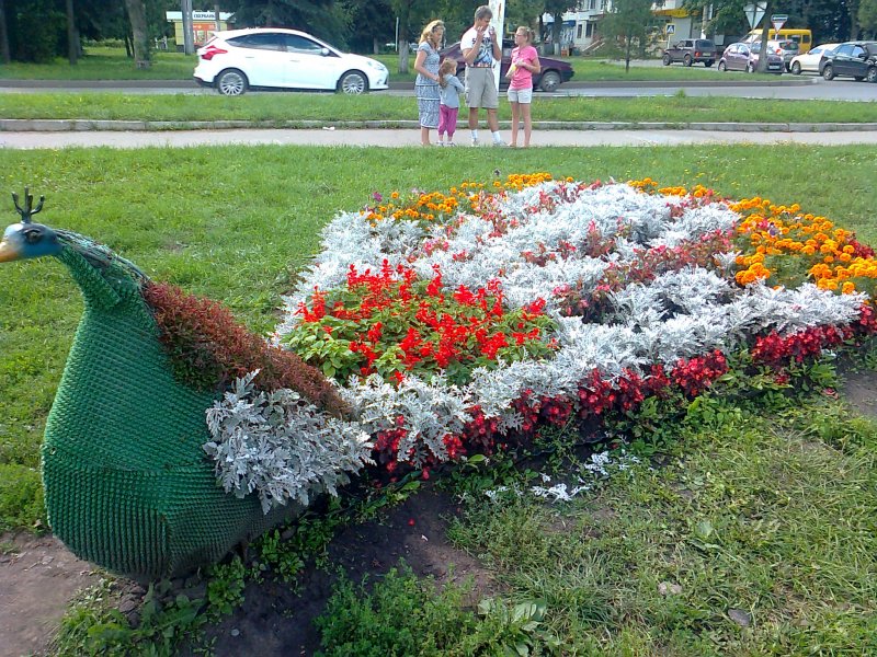 Фигуры из цветов на клумбе