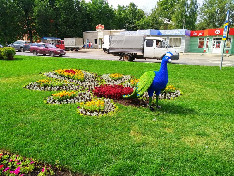 Топиар Кисловодск